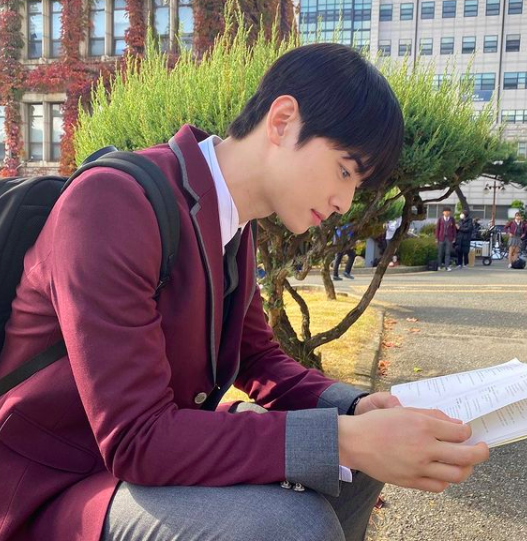 Did You Know That True Beauty Stars Cha Eun Woo and Hwang In