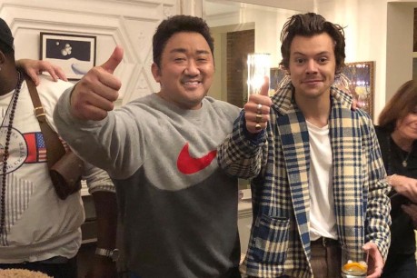 Ma Dong Seok and Harry Styles