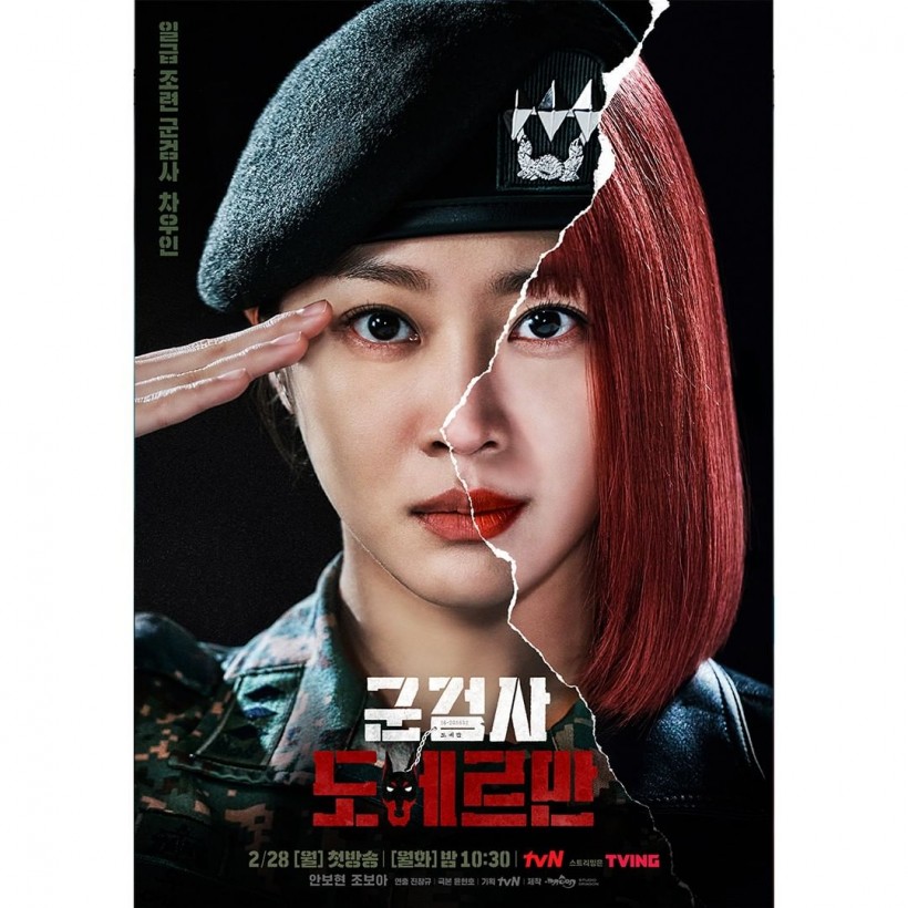 Jo Bo Ah - Military Prosecutor Doberman Poster