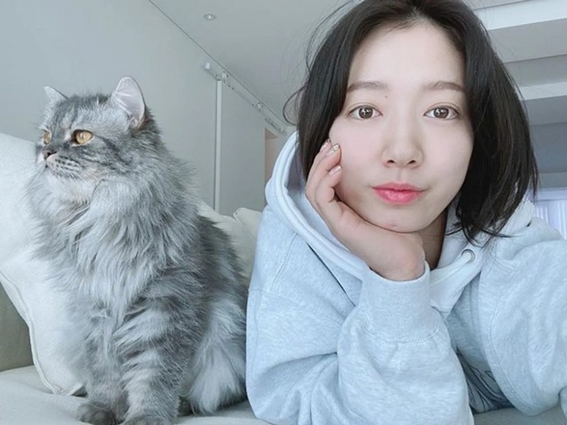 K-drama Celebs Who Love Cats: Jang Na Ra, Park Shin Hye, More!