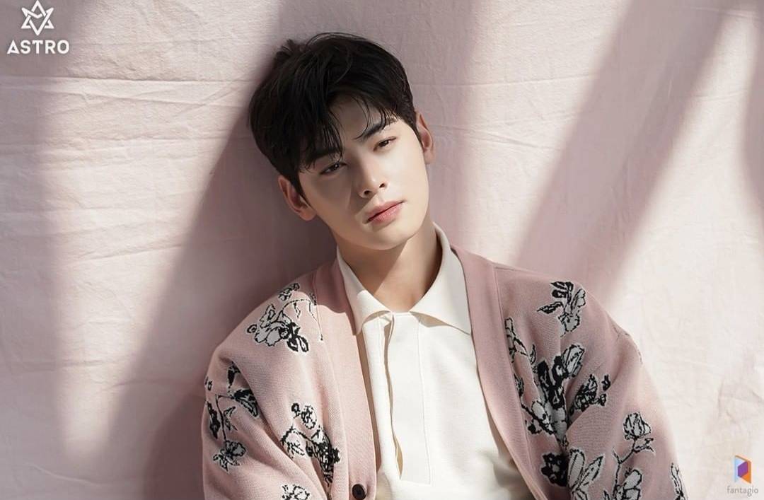 ASTRO's Cha Eunwoo Shocks Fans With His Contrasting IRL Visuals And  Charming Personality At Two DIOR Events - Koreaboo