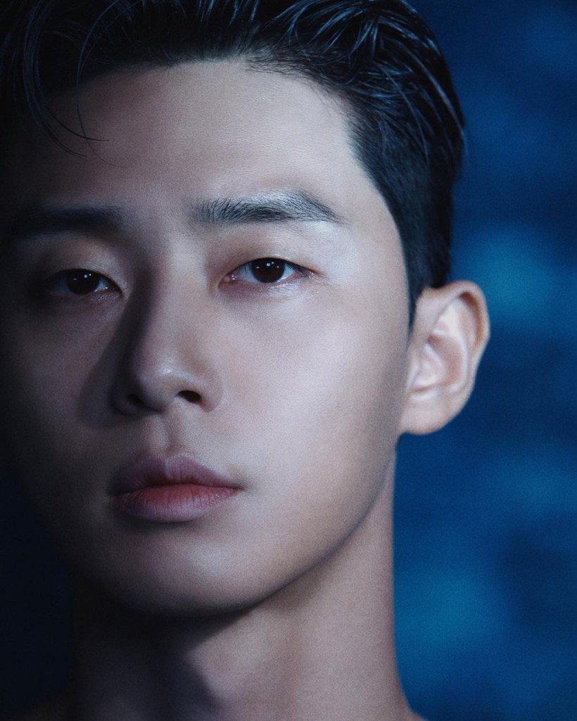 Park Seo Joon Surprises Fans With THIS Ahead of ‘In The Soop’ Broadcast