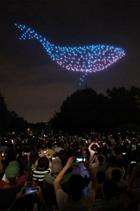 'Extraordinary Attorney Woo' Whale Drone Display