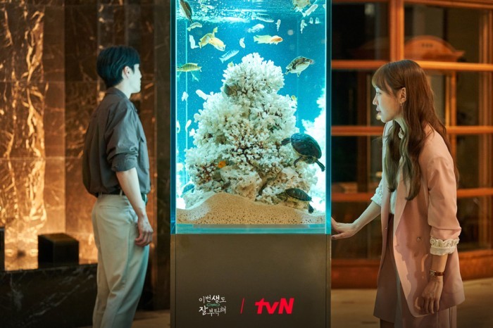 ‘See You In My 19th Life’ New Teaser Highlights Shin Hye Sun & Ahn Bo Hyun’s Chemistry