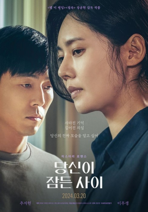 'While You Were Sleeping' Poster