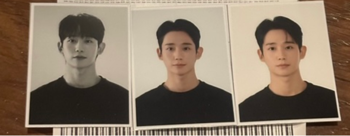 Jung Hae In 